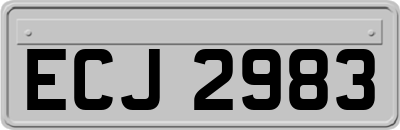 ECJ2983