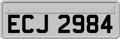 ECJ2984