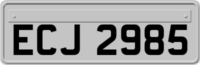 ECJ2985