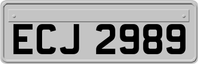 ECJ2989
