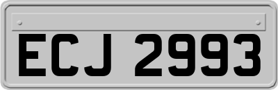 ECJ2993