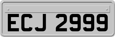 ECJ2999