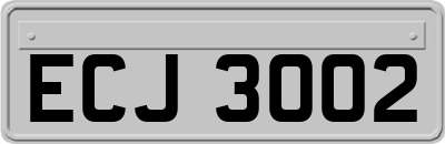 ECJ3002