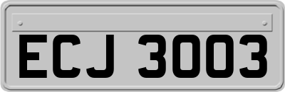 ECJ3003