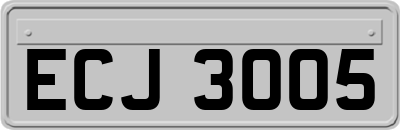 ECJ3005