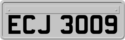 ECJ3009