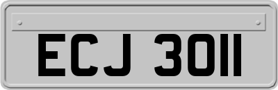 ECJ3011
