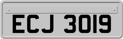ECJ3019