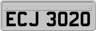 ECJ3020