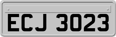 ECJ3023