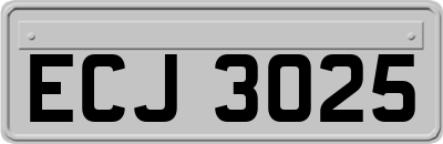 ECJ3025
