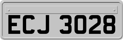 ECJ3028