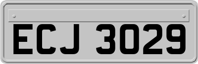 ECJ3029
