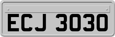 ECJ3030