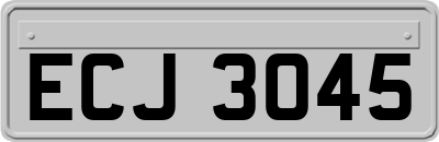ECJ3045