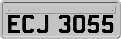 ECJ3055