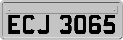 ECJ3065