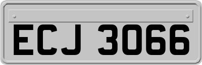 ECJ3066