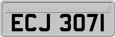 ECJ3071