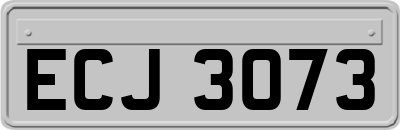ECJ3073