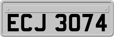 ECJ3074