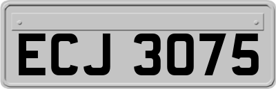 ECJ3075
