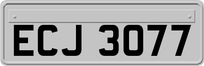 ECJ3077