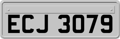 ECJ3079