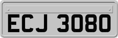 ECJ3080