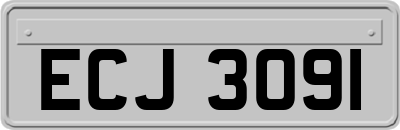ECJ3091