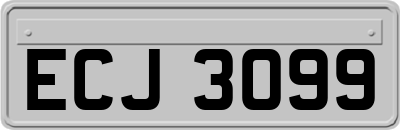 ECJ3099