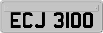 ECJ3100