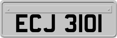 ECJ3101
