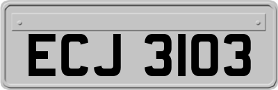 ECJ3103