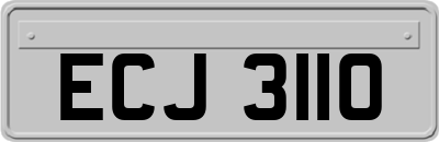 ECJ3110