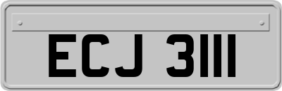 ECJ3111