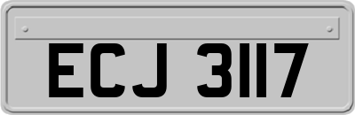 ECJ3117