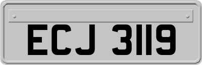 ECJ3119