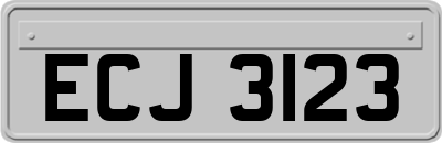 ECJ3123