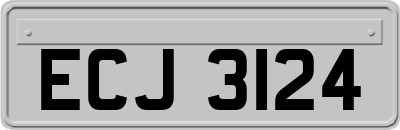 ECJ3124