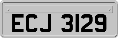 ECJ3129