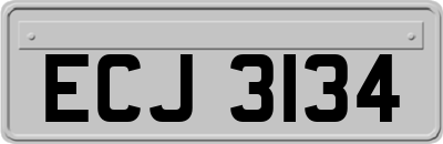 ECJ3134