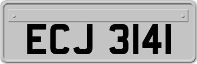 ECJ3141