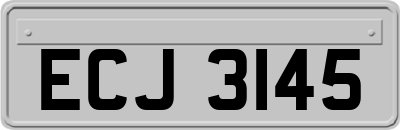 ECJ3145