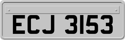 ECJ3153