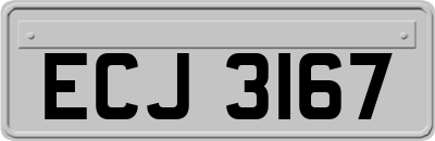ECJ3167