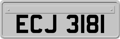 ECJ3181