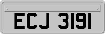 ECJ3191