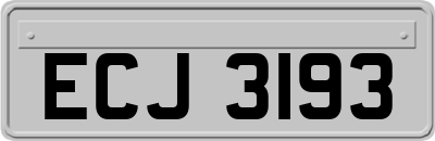 ECJ3193