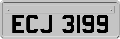 ECJ3199